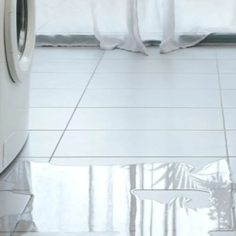 Appliance Leak Cleanup in Bowie, TX