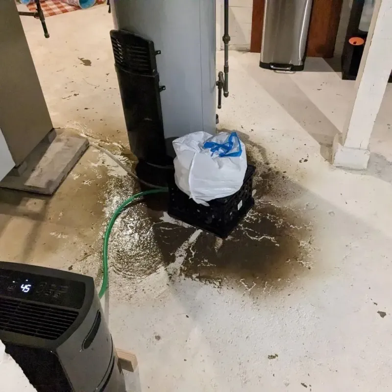 Sewage Backup Cleanup Service in Bowie, TX